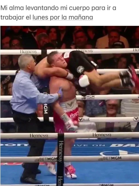 Memes de la pelea de Canelo Álvarez vs Dmitry Bivol
