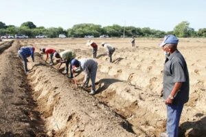 Paralizan labores Proyecto la Cruz Manzanillo por sueldos atrasados