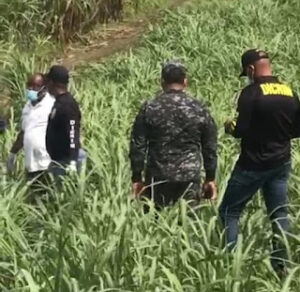 Hallan hombre muerto en cañaveral de San Pedro de Macorís