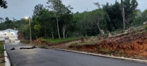 Cortan decenas de árboles en entrada Junta Distrital Santiago de la Cruz