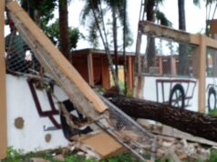 Fuertes granizadas acompañadas de un tornado derribaron árboles, y  despegaron zinc de viviendas en la comunidad La Sierra, Hato Mayor del Rey.